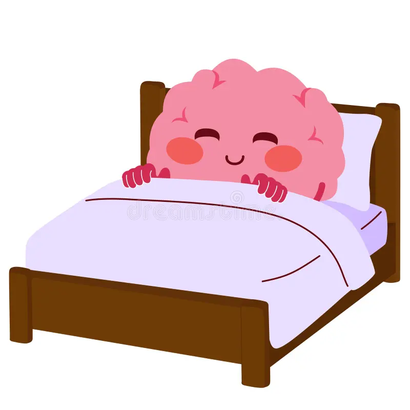 Sleep Optimization & Recovery